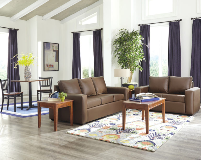 Canyon loveseat and sofa in living room